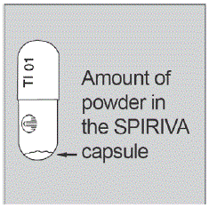 Each SPIRIVA 9mcg capsule contains only a small amount of powder - Illustration